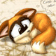 fox2004