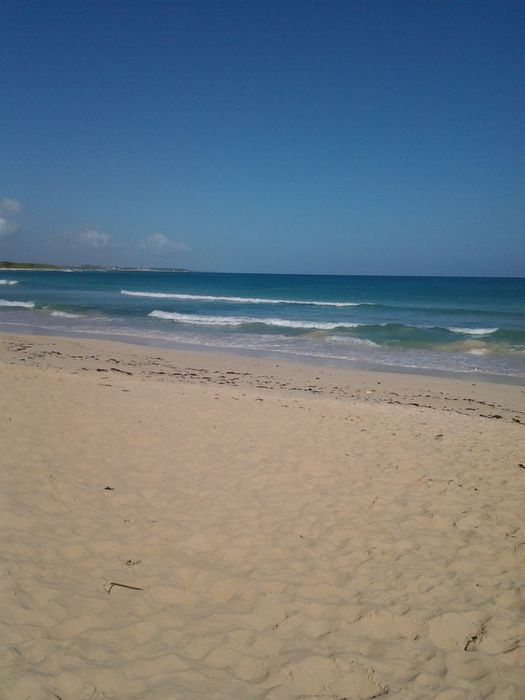 20131113_093042.jpg