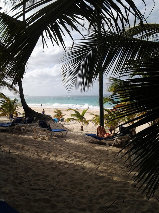 20140419_004204.jpg