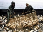 Закон о любительском и спортивном рыболовстве